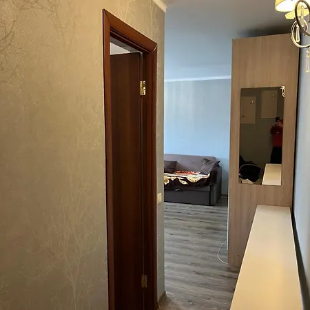 Apartment решата аметова собачій *