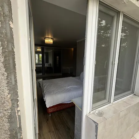 Apartment решата аметова собачій